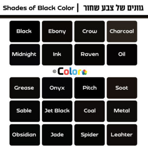גוונים של צבעים - color | הכל על צבעים בעולם העיצוב